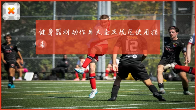 健身器材动作库大全及规范使用指南