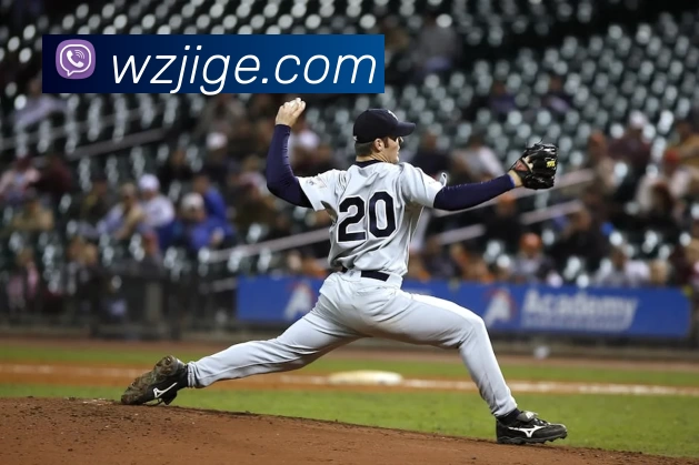 App Interface Preview